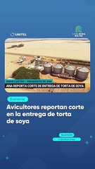 Avicultores reportan corte en la entrega de torta de soya