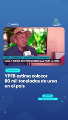 YPFB estima colocar 80 mil toneladas de urea en el país