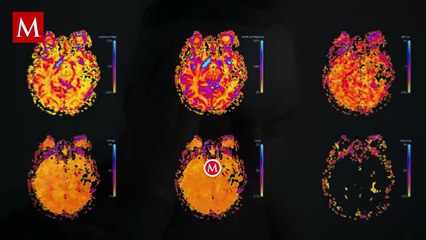 ¿NFL en deuda con sus jugadores? Esto se reveló tras el ataque en Nueva York