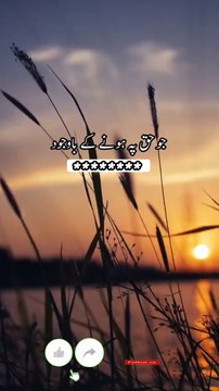 بسا اوقات الفاظ تیر بن جاتے ہیں، رویے زخم دے جاتے ہیں، اور خاموشیاں دل چیر دیتی ہیں۔ ان زخموں پر معاف کر دو کا مرہم رکھنا تو آسان لگتا ہے، لیکن جو ٹوٹ پھوٹ اندر ہی اندر ہو چکی ہوتی ہے، وہ کبھی مکمل نہیں جڑتی۔ معافی مانگ لینا اور معاف کر دینا دونوں عظیم