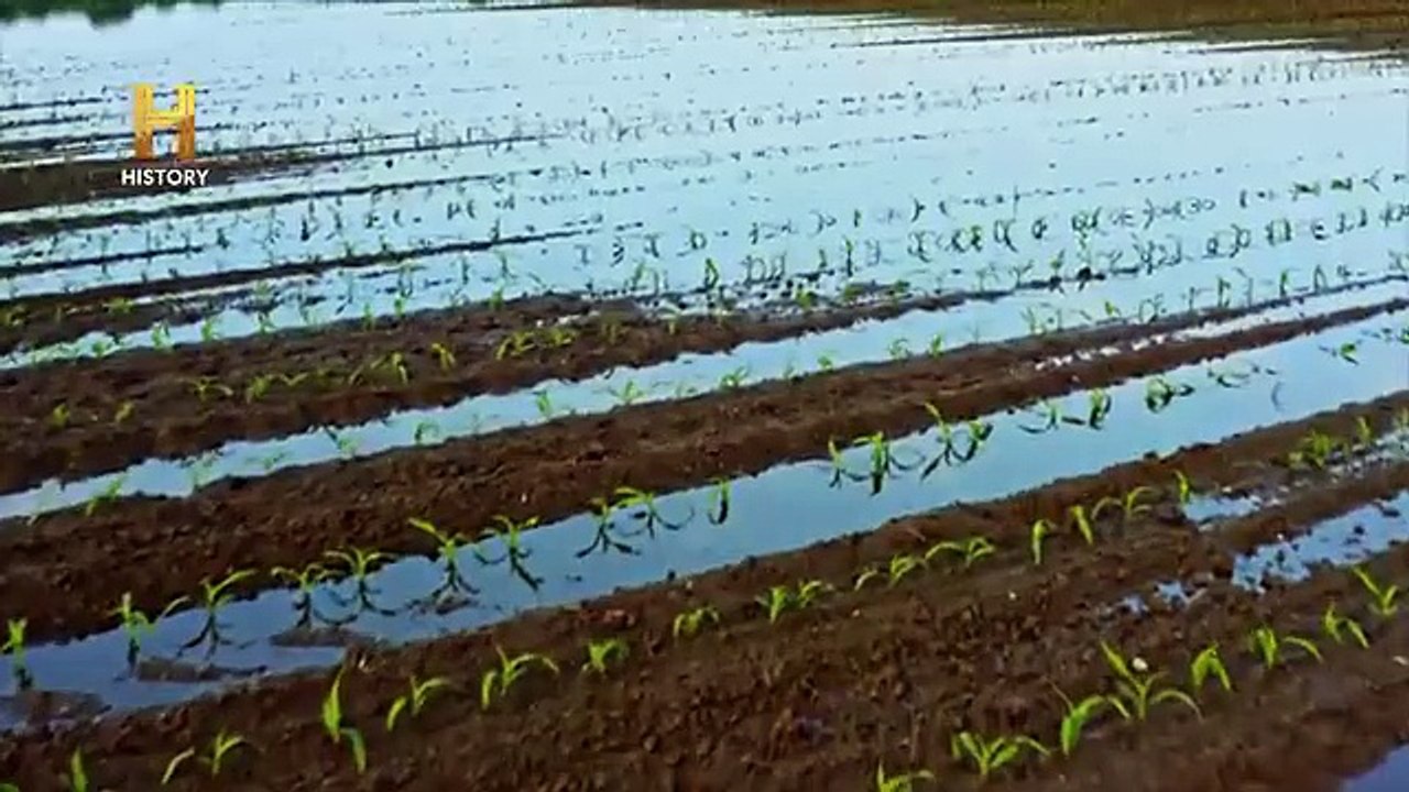 LOS JUICIOS DE LAS BRUJAS DE SALEM 🔥 - GRANDES MISTERIOS DE LA HISTORIA - EPISODIO COMPLETO