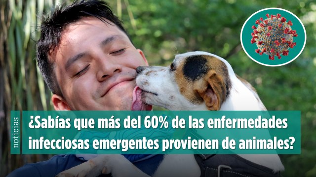 ¿Sabías que más del 60% de las enfermedades infecciosas emergentes provienen de animales?