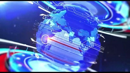 グローバルポータブル音響カメラのトップ会社の市場シェアおよびランキング 2025