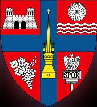 Coat of Arms of Salaj County. Lambang Kebesaran Kabupaten Salaj. Stema județului Sălaj. Brasão do Condado de Sălaj. Armoiries du comté de Sălaj. Escudo de armas del condado de Sălaj. Stemma della contea di Sălaj. Wappen des Kreises Sălaj. サラージュ県の紋章