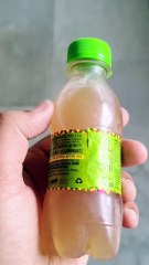 Every moment is a toast to new experiences! #reels, #viral, #trendingnow, #explore, #fyp, #reelsviral,