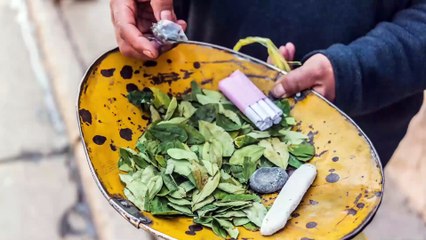 Del opio al diseño: La evolución de las drogas y el cerebro humano | Multiverso Milenio