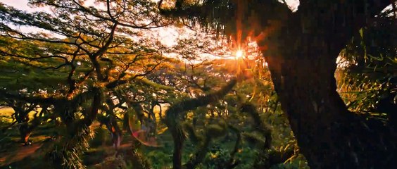 Prêmio de Melhor do Ano da Equipe