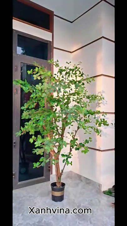 Thiết kế cây thiên lộc 250cm cho chị jeny phạm