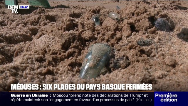 Physalies: six plages du Pays basque fermées