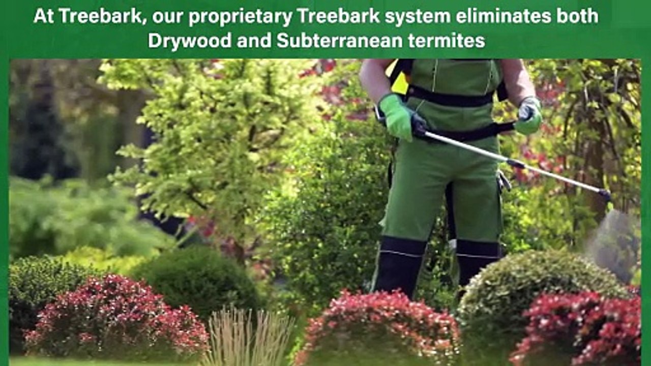 Termite control