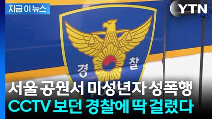 한밤 공원서 미성년자 성폭행하던 20대...범행 장면 포착돼 검거 [지금이뉴스]  / YTN