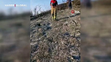 İtfaiyeciden, alevler içinde mahsur kalan kaplumbağaya can suyu