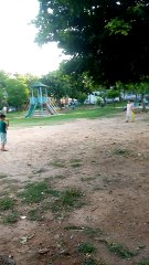 Strolling Through the Park 🌳