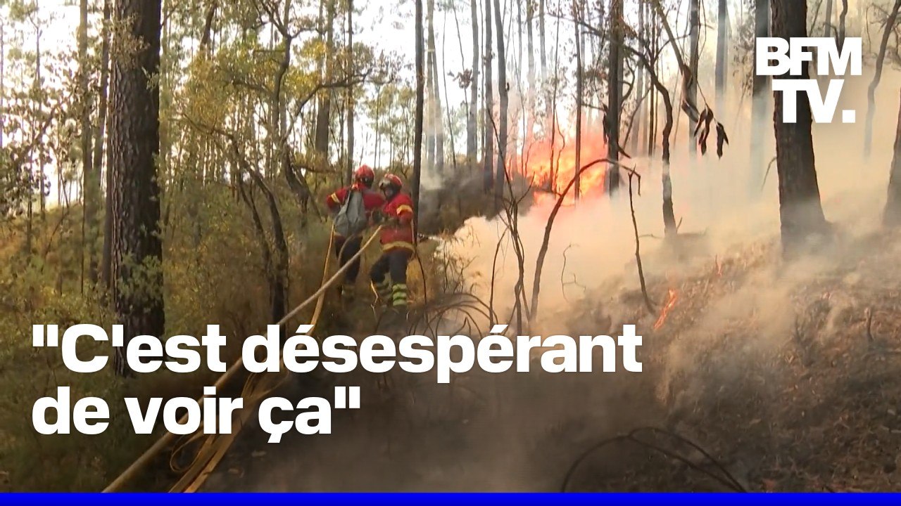 Plusieurs feux de forêts touchent le Portugal, 2.700 pompiers mobilisés