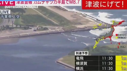 Tsunami in Russia, le onde arrivano fino in Giappone