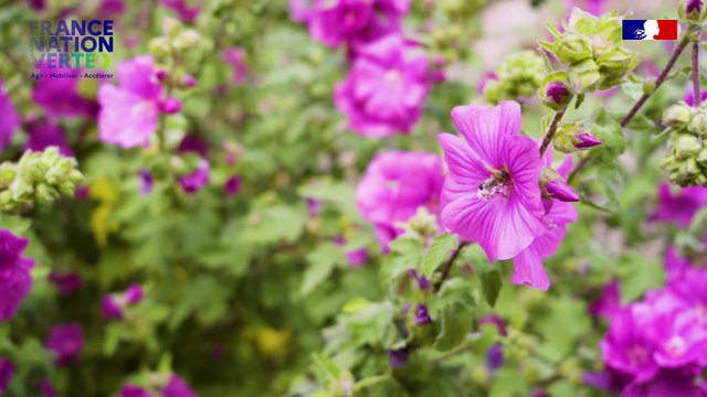 Services publics écoresponsables tous acteurs !