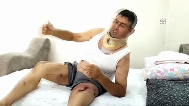 Manavgat'ta aslan saldırısına uğrayan çiftçi açıklama yaptı: 'Bu olayda tek suçsuz olan ben ve aslan'