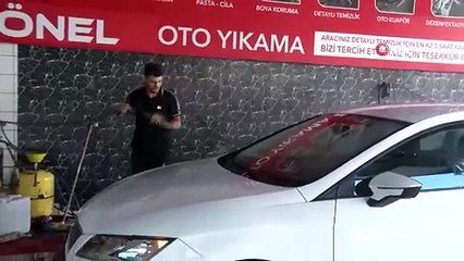 Sıcaktan Bunalan Köpeğin Rutini Olay Oldu!