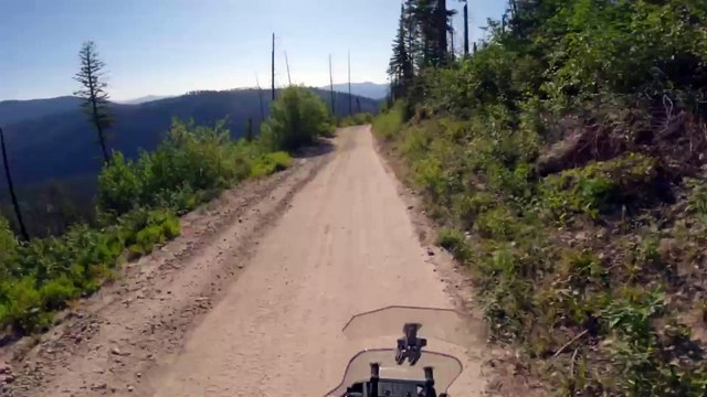 Video: Motorradfahrer überfährt Bären und überlebt, um die Geschichte zu erzählen