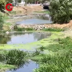 Fare sandılar, su maymunu çıktı: Havsa'da ilginç görüntüler