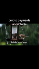 Birds Singing in the Rain – Peaceful Nature Moment