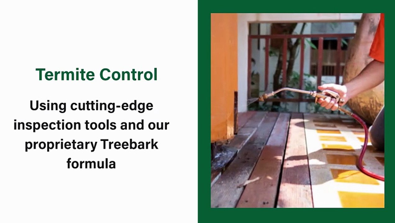 Pest control torrance ca