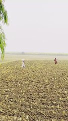 Village Life ❤❤ #maxrecords #villagelife #larkana #sindh #pakistan