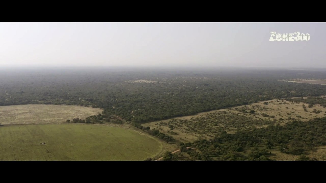 Zone300 arrive sur OQEE by Free : la plateforme de ceux qui vivent dehors