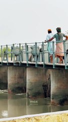 My Village  Beautiful Video ❤ #maxrecords #villagelife #larkana #sindh #pakistan