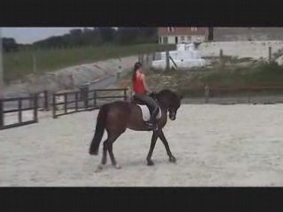 Travail 14 mai - galop