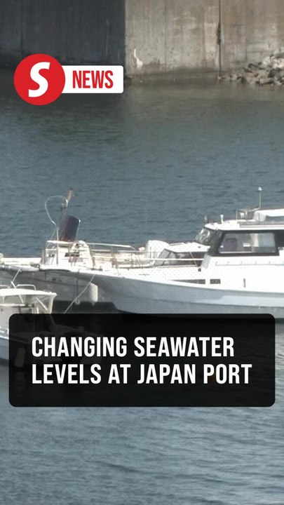 TIMELAPSE: Changing seawater levels at tsunami-hit Japan port