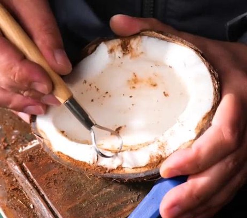 Coco-Craft Magic! Where Nature Meets Imagination!