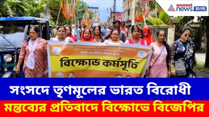 সংসদে তৃণমূলের ভারত বিরোধী মন্তব্যের প্রতিবাদে বিক্ষোভে বিজেপির