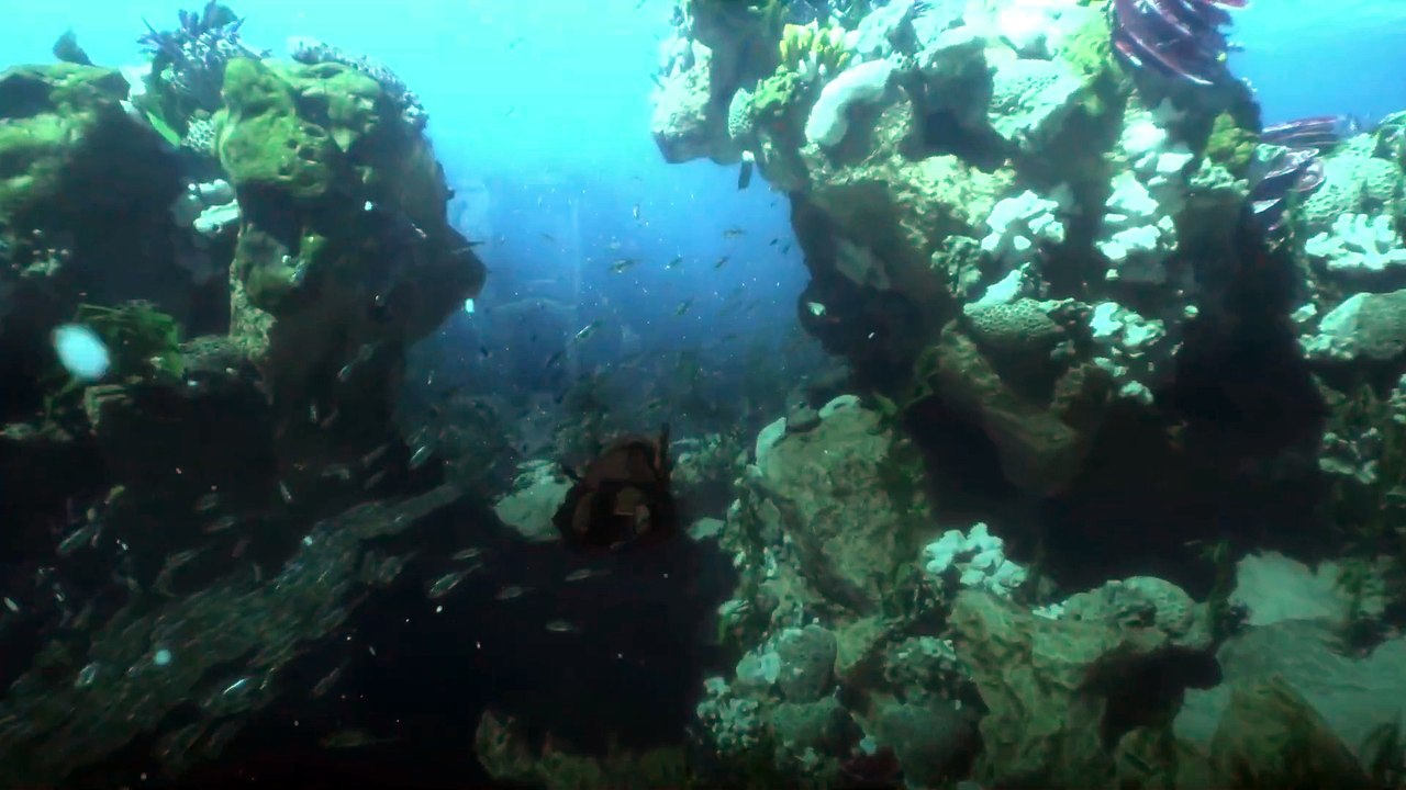 MMORPG „Project N“ zeigt im Trailer mittelalterliche Fantasy-Kämpfe und eine große Open-World