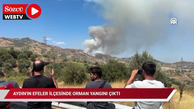 Aydın'ın Efeler ilçesinde orman yangını çıktı