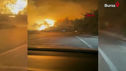 Bursa'da orman yangınında DHA muhabirlerinin zor anları kamerada