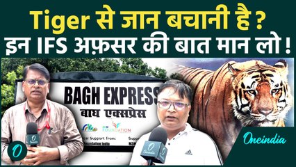 Global Tiger Day खबर का असर! IFS Manish Singh मानी बात– बताई Tiger Express की कहानी