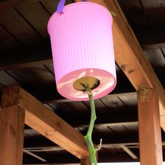 Un étonnant jardin à l'envers FAIT MAISON pour optimiser l'espace