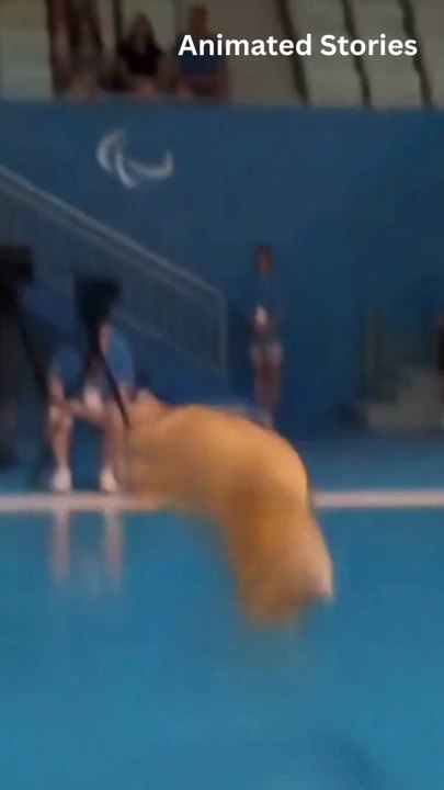 Dog jump in water at olympic