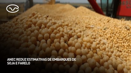 ANEC reduz estimativas de embarques de soja e farelo