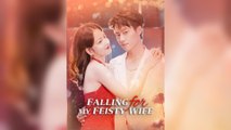 Falling For My Feisty Wife