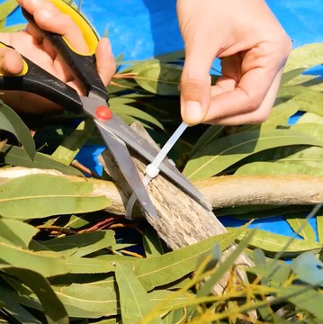 Des idées intéressantes pour la préparation des repas et d'autres ASTUCES de camping !