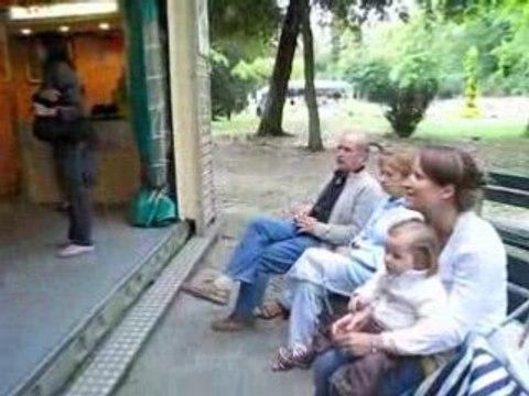 1er tour de manège : voiture de Oui Oui, quel bonheur !