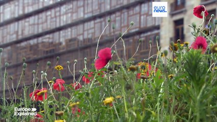 ЕС не смог согласовать отстранение Израиля от участия в исследовательском фонде