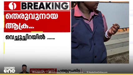 പത്തനംതിട്ടയിൽ തെരുവുനായ ആക്രമണം: വിദ്യാർത്ഥിനിയടക്കം അഞ്ച് പേർക്ക് പരിക്ക്