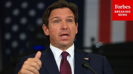 'We're Apprehending Faster Than DHS Can Hold & Process': DeSantis Explains Alligator Alcatraz Origin