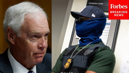 Ron Johnson Has Testy Exchange With Voter Over Masked ICE Agents And Migrant 'Concentration Camps'