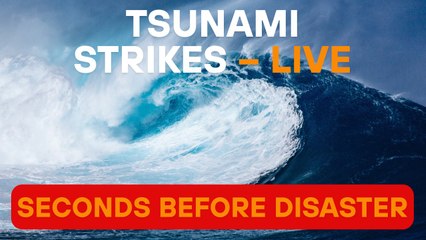 When the Ocean Pulled Back—The Day the World Changed