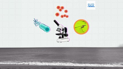 Где в Европе самые чистые воды для купания?