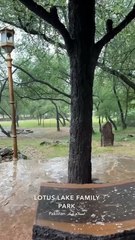 Beautiful View of lotus lake Family Park Islamabad